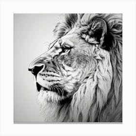 Lion Portrait#3 Canvas Print