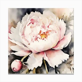 Pfingsrose, Close up, Aquarell, Ink Canvas Print