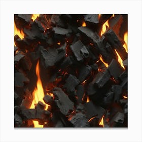 Charcoal Fire Canvas Print