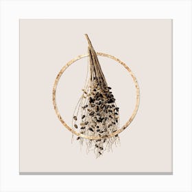 Gold Ring Normal Spadice of the Palm Glitter Botanical Illustration n.0254 Canvas Print