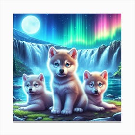 Aurora Borealis wolf pups 3 Canvas Print