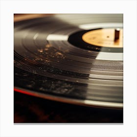 Vinyl Record 2 Canvas Print