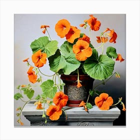 Nasturtium 7 Canvas Print