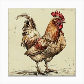 Rooster Chicken Farm Canvas Print