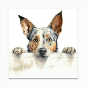 Australian Cattle Dog 7 Canvas Print