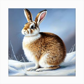 Rabbit In The Snow Canvas Print