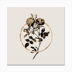 Gold Ring Queen Elizabeth's Sweetbriar Rose Glitter Botanical Illustration Canvas Print