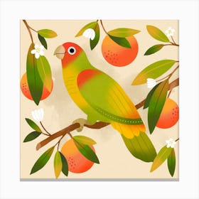 Tangerine Parrot Square Canvas Print