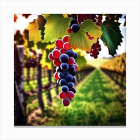 Grapes In The Vineyard 3 Canvas Print