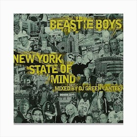 Beastie Boys Albums 8 Canvas Print