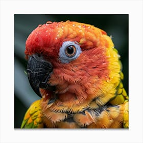 Parrot 5 Canvas Print