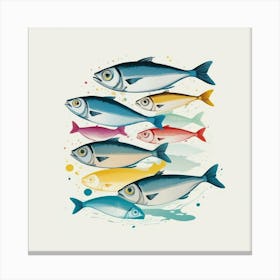 Sardines 6 Canvas Print