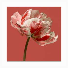 Pink Flower Canvas Print