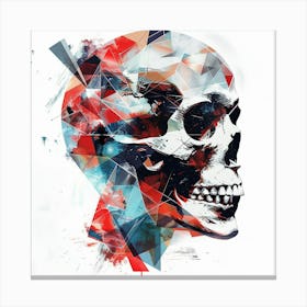 Skull Print 3 Canvas Print