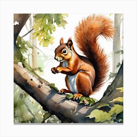 Red Squirrel 26 Canvas Print