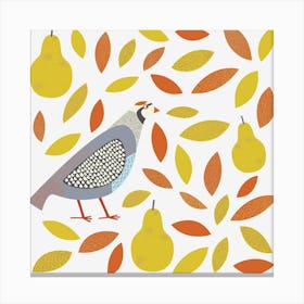 Partridge Game Bird with Pears Canvas Print