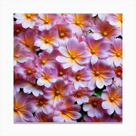 Pink Flowers 1 Canvas Print