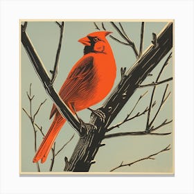 Retro Bird Lithograph Northern Cardinal 1 Canvas Print