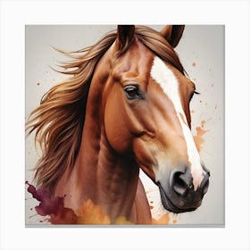 Horse Portrait 1 Canvas Print