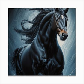 Black Horse Canvas Print