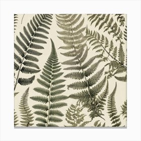 Ferns 9 Canvas Print