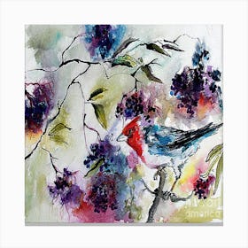 Robin In Bloom Canvas Print
