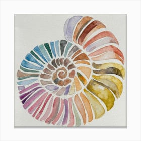 Nautilus Shell Canvas Print