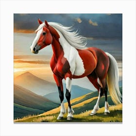 Horse At Sunset Canvas Print