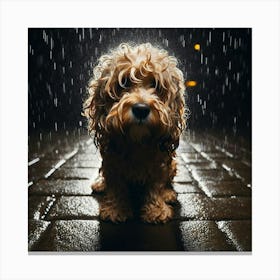 Dog In The Rain 8 Canvas Print