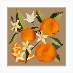 Oranges Botanical Art Canvas Print