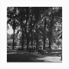 Untitled Photo, Possibly Related To Chico, California, City Park By Russell Lee Canvas Print