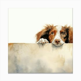 Setter Irish 3 Canvas Print