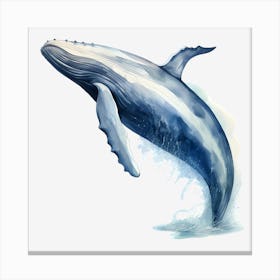 Humpback Whale Canvas Print