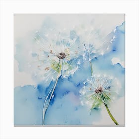 Dandelion Canvas Print