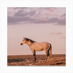 Grey Horse In Pastel Sunset Canvas Print