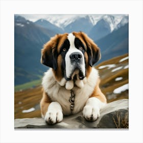 St Bernard Dog 21 Canvas Print