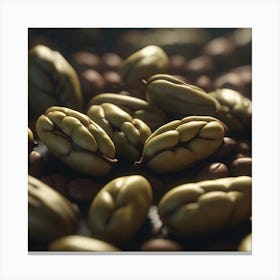 Coffee Beans 391 Canvas Print