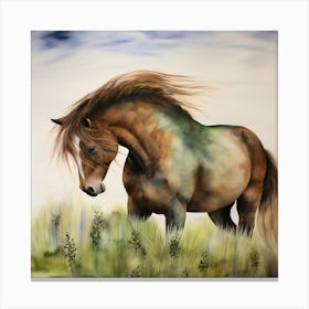 Horse In The Grass 2 Canvas Print