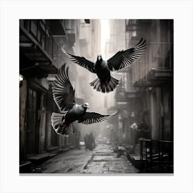 Pigeons In Flight Canvas Print