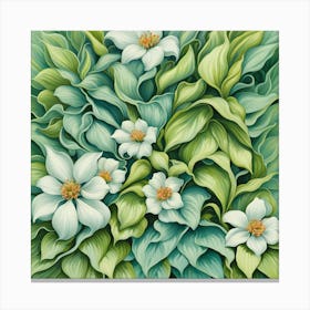 White Flowers Canvas Print