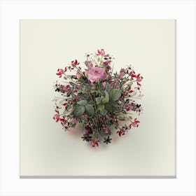Vintage Pink French Roses Flower Wreath on Ivory White n.1659 Canvas Print