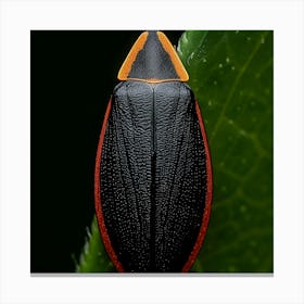 Beetle On Leaf 1 Canvas Print