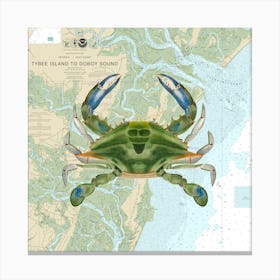 Blue Crab By James Ellsworth De Kay Chart On Georgia Nautical Chart 11509 Canvas Print