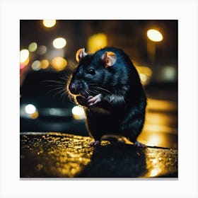 Rat At Night Canvas Print