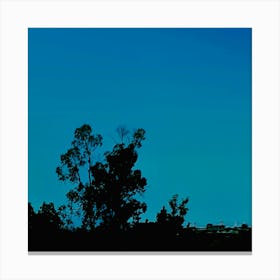 Silhouette Of A Tree Canvas Print