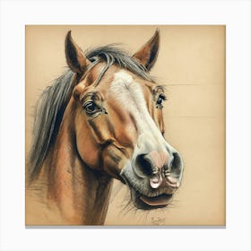 Horse Portrait 4 Canvas Print