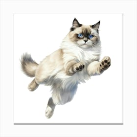 Siamese Cat 3 Canvas Print