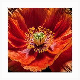 Ethereal poppy flower 4 Canvas Print