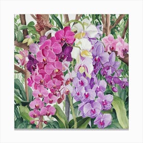 Orchids 8 Canvas Print