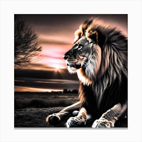 Lion At Sunset 15 Canvas Print